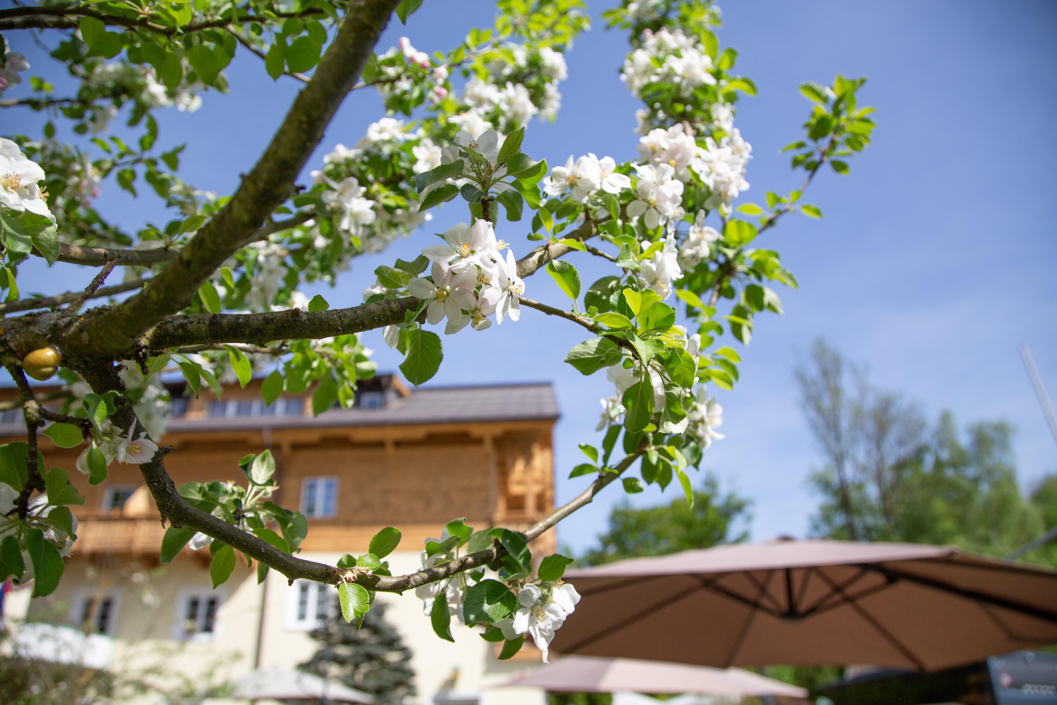 Hotel Foersterhof Lebe Pur, Geniesse Den Tag Sankt Wolfgang im Salzkammergut Exterior foto